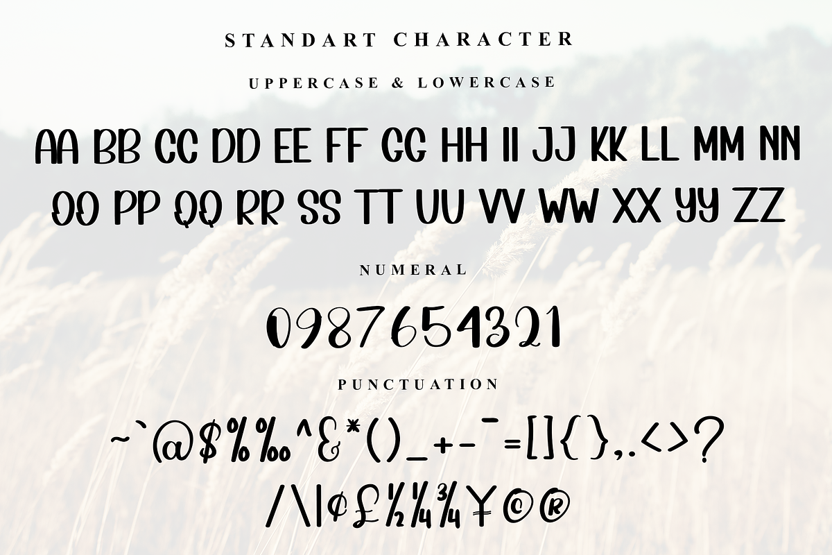 Football, a Sans Serif Font by InermediaSTUDIO (Photo 6 of 7)