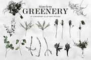 Timeless Greenery – Crafted Clip Art, a Texture Illustration by Scott Howard (Thumbnail 5 of 7)