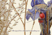 Airy Meadow Cleanly Cut Flower Photo, an Object Graphic by Aga Silva (Thumbnail 5 of 7)