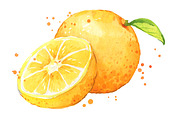 Set of orange foods, watercolor, a Food Illustration by Kamenuka (Thumbnail 3 of 4)