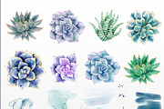 Succulent watercolor clipart, an Illustration by Nebbia (Thumbnail 2 of 10)