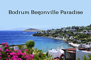 Bodrum Style, a Slab Serif Font by BULENT YUKSEL (Thumbnail 5 of 12)