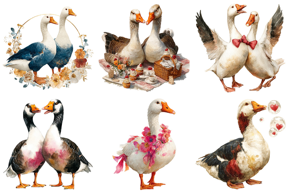 Wedding Goose Clipart, an Illustration by Craft Nest (Photo 2 of 6)