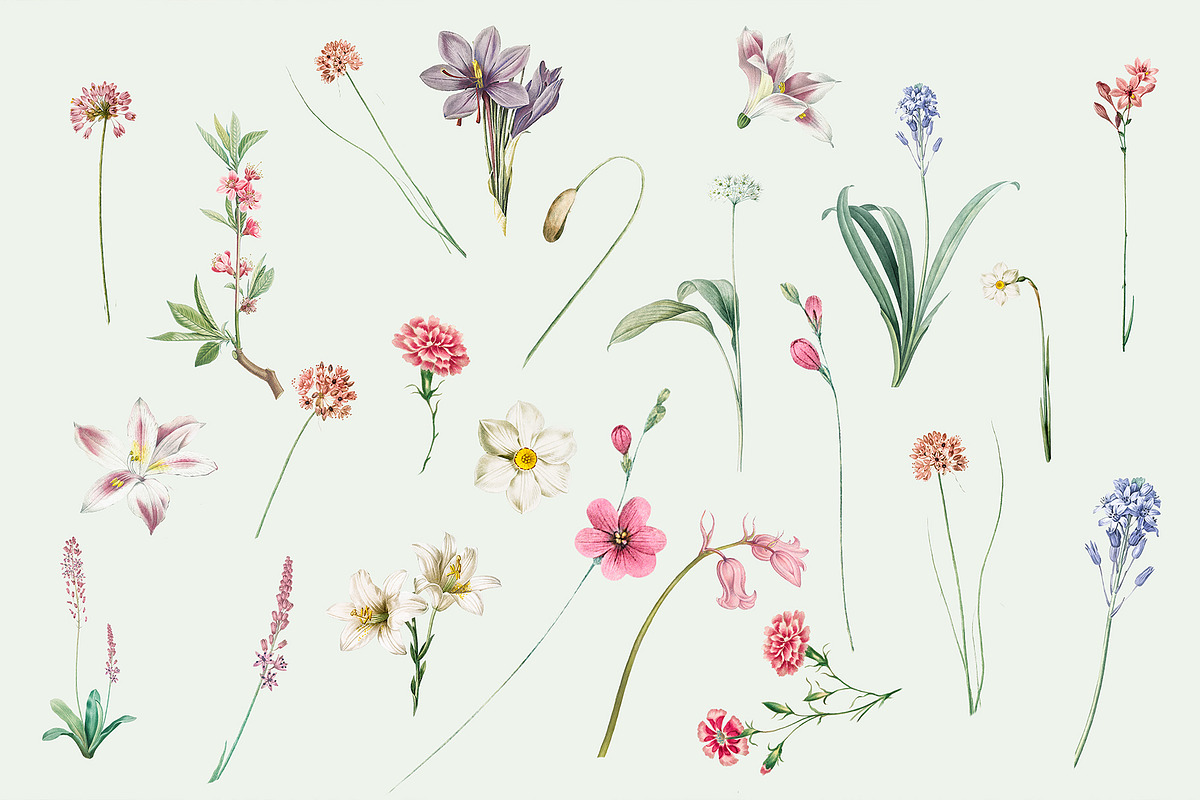 35 Vintage Flowers Collection, an Object Graphic by EvitePapery (Photo 2 of 7)