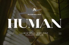 Human Elegant Serif Font Typeface