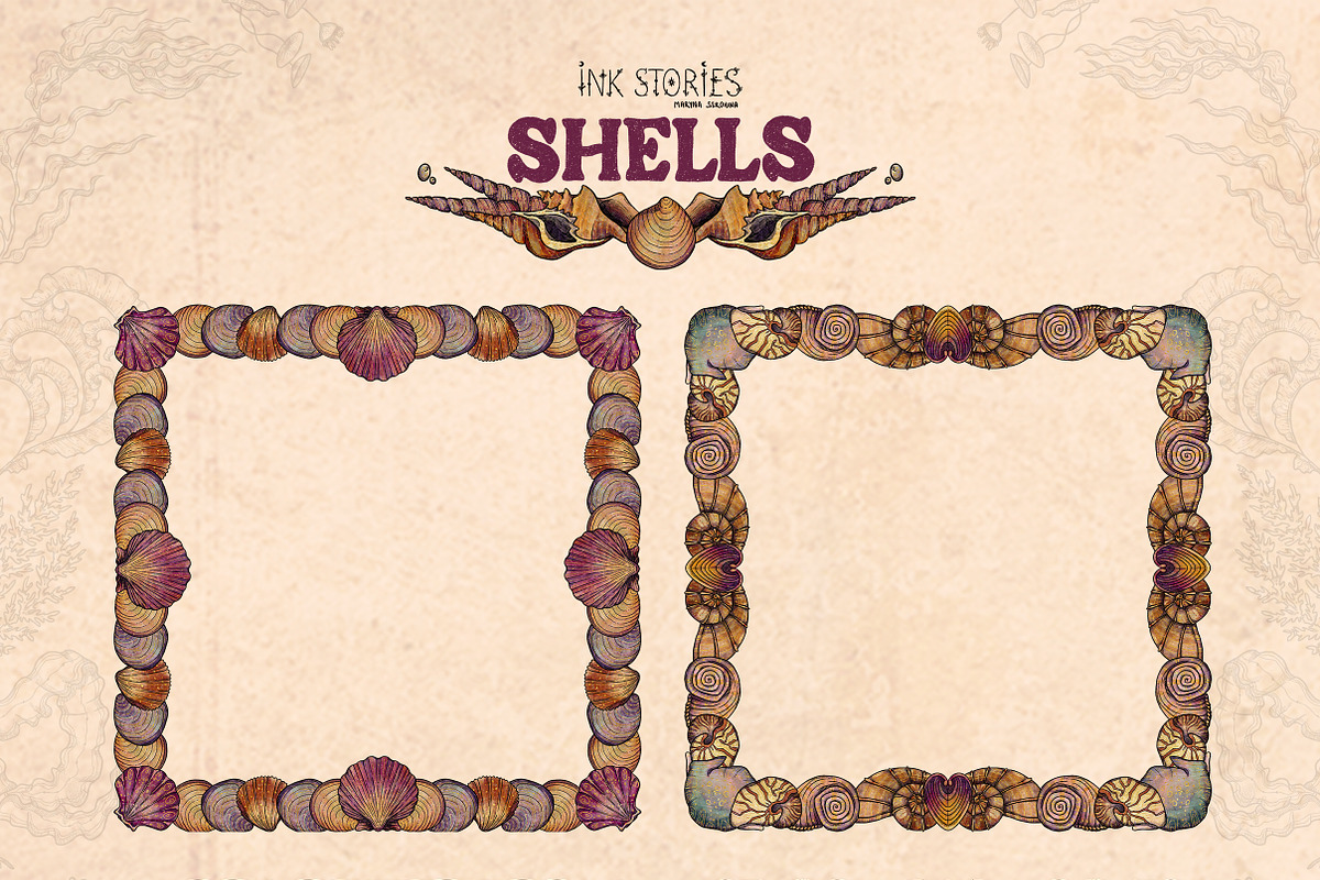Shells, an Animal Illustration by Ink Stories (Photo 10 of 21)