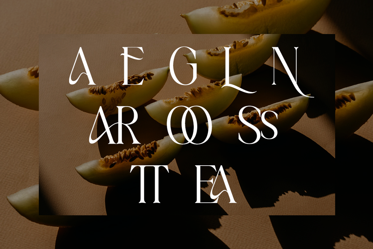 Charlotten - Elegant & Stylish Serif, a Serif Font by RockboyStd (Photo 11 of 12)