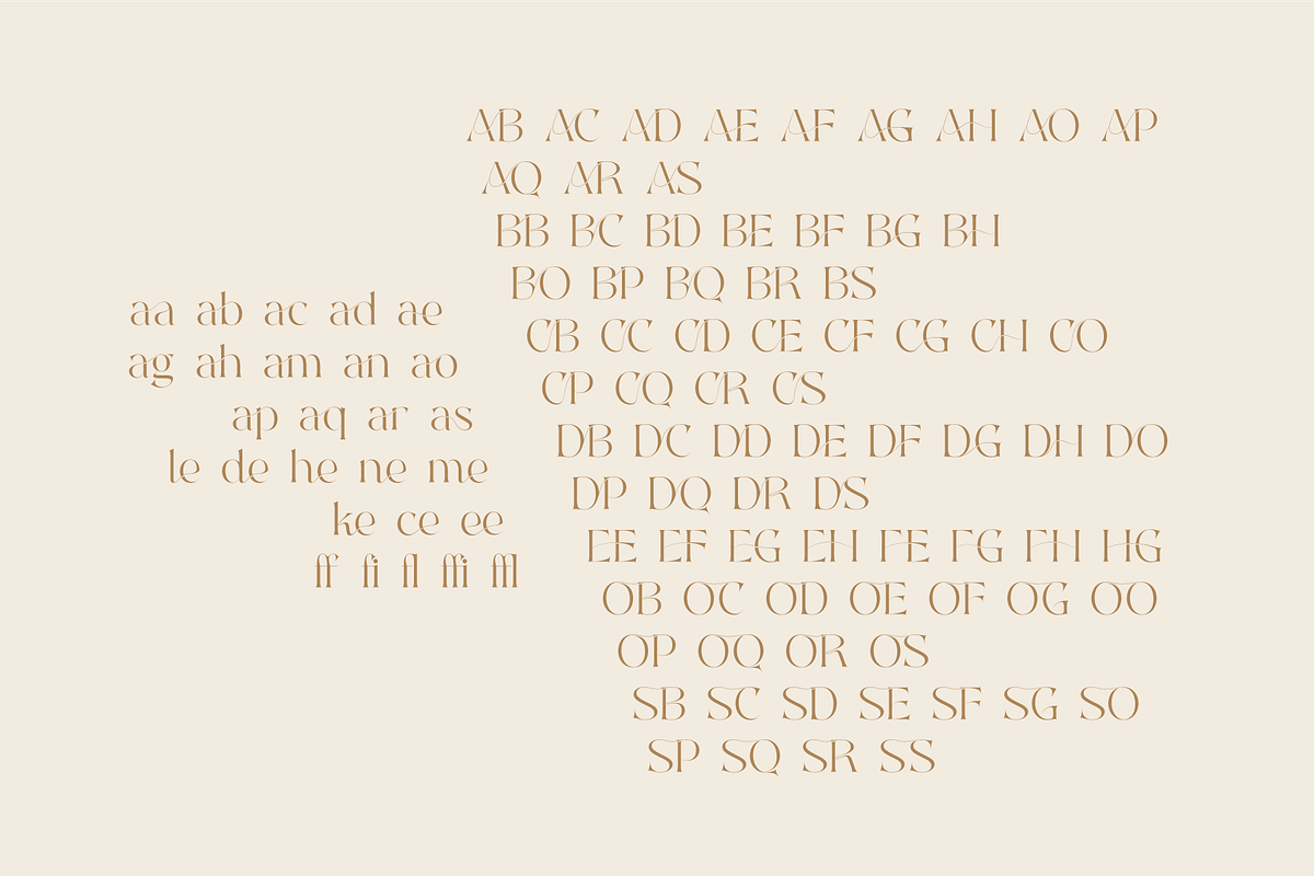 Aelyn - Ligature Serif Font, a Serif Font by Surplus Type Co (Photo 6 of 12)