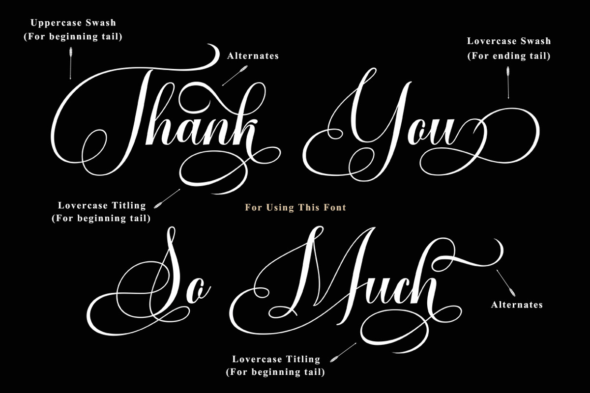 Vorgesla Script, a Script Font by TM Type (Photo 5 of 10)