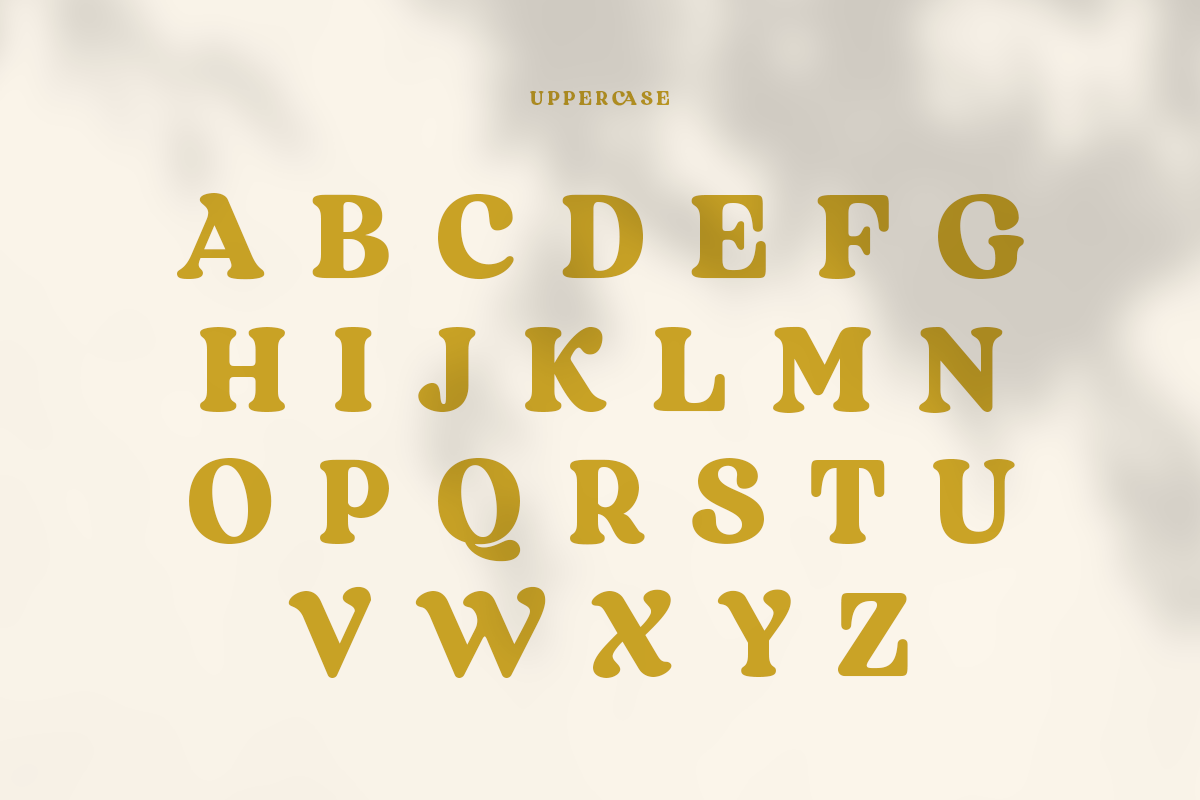 Regards - Modern Retro Serif, a Serif Font by Sensatype (Photo 14 of 23)