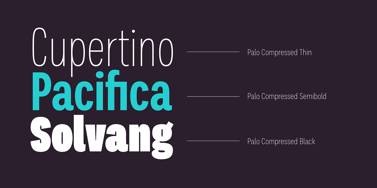 Palo, a Sans Serif Font by TypeUnion (Photo 9 of 17)