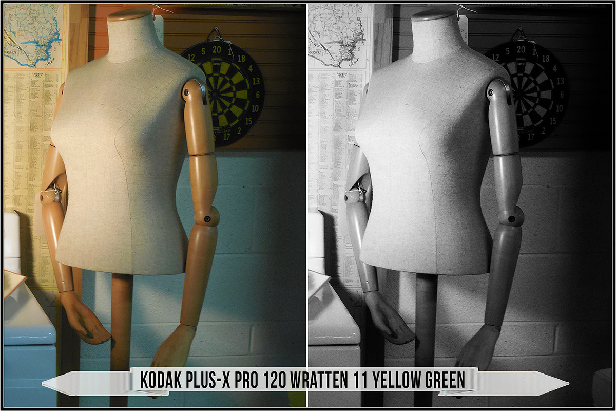 Eastman Kodak Black White Films LUTs, a Plug-in Add-On by Raztrend (Photo 17 of 30)