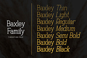 Baxley Modern Slab Serif, a Slab Serif Font by Heinzel Std (Thumbnail 6 of 10)