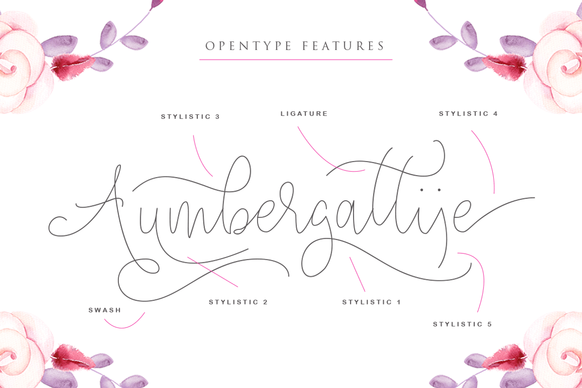 Angelova Monoline Script preview 2