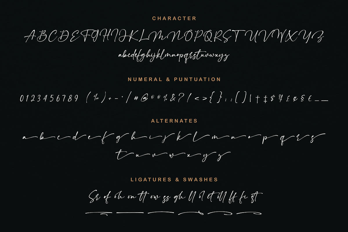 Constaller Chic Calligraphy Script, a Script Font by Namara Creative Studio (Photo 8 of 12)