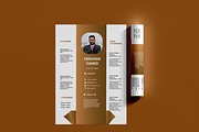 100 Resume - luxury templates, a Resume Template by Hamed Studio (Thumbnail 14 of 15)