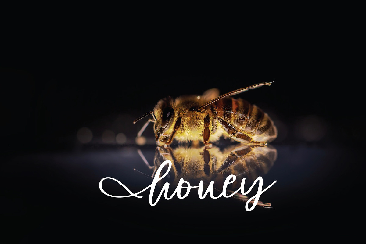 honey font preview 4