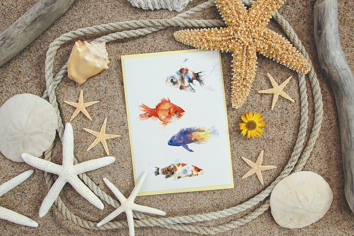 Aquarium Fishes Watercolor Clipart, an Animal Illustration by Catherine Wheel (Photo 2 of 10)
