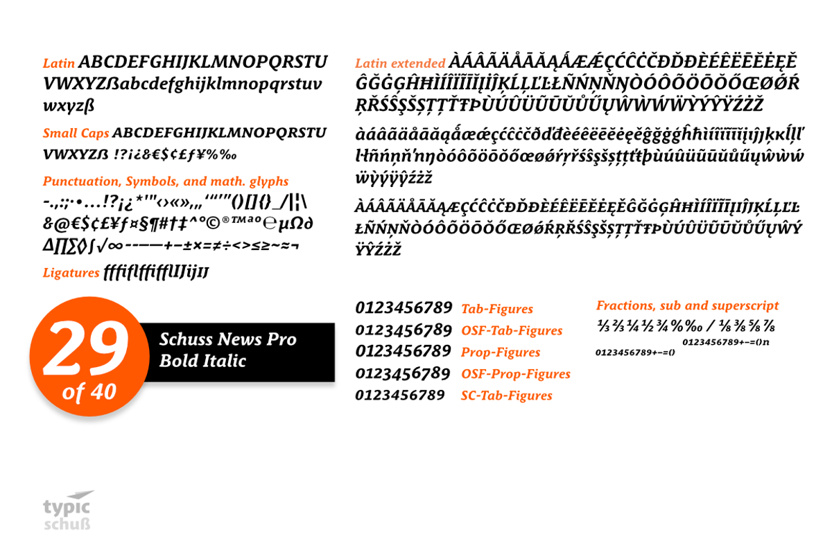 SchussNewsProBoldIta No.29 (1 Font) preview 3