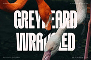 Knolt – Bold Ultra-Condensed Font, a Sans Serif Font by SilverStag Type Foundry (Thumbnail 6 of 20)