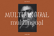TAN - VIVRE LIBRE, a Serif Font by TanType (Thumbnail 15 of 17)