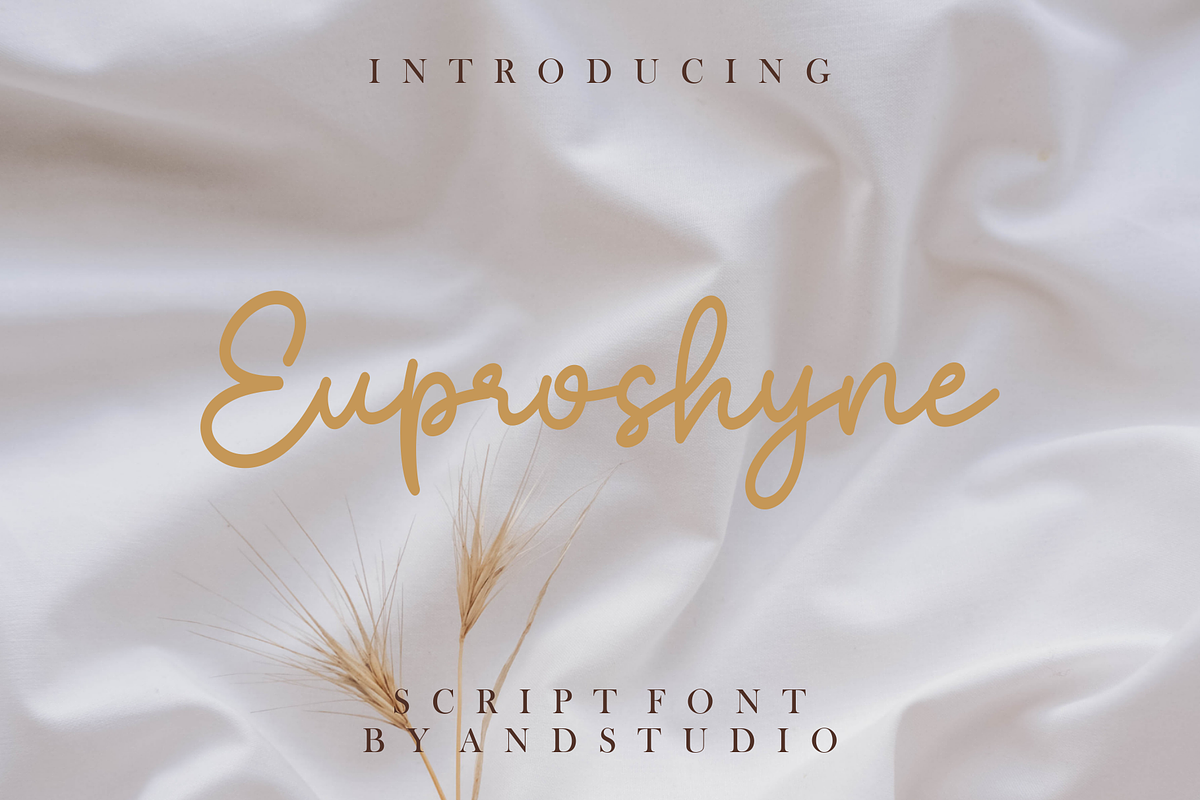 Euproshyne, a Script Font by And Studio (Photo 1 of 16)