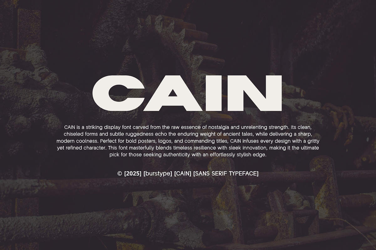 CAIN FONT - MODERNDISPLAY SAN SERIF, a Sans Serif Font by BURSTYPE (Photo 7 of 9)