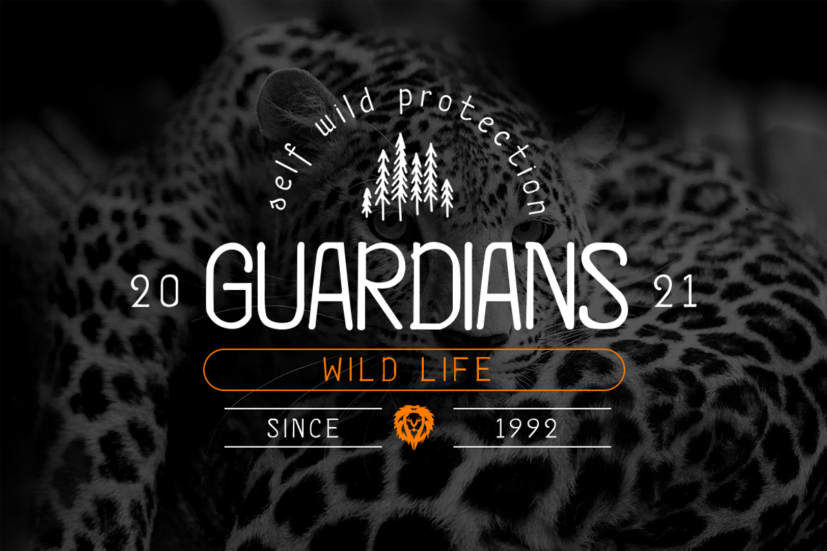 Qossta - Monoline Vintage Font, a Sans Serif Font by Saxofont (Photo 2 of 10)
