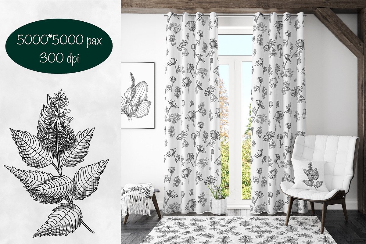 Herbal collection, a Decorative Illustration by sizileon (Photo 8 of 11)