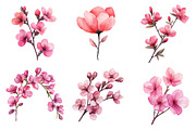 Spring Redbud Flower Clipart, an Illustration by SinaCreation (Thumbnail 4 of 5)