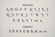 Kibright, a Serif Font by Rishsketch (Thumbnail 10 of 13)