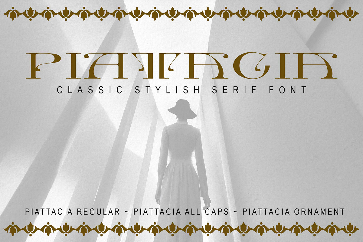 Piattacia font family, a Serif Font by greatypes studio (Photo 1 of 15)