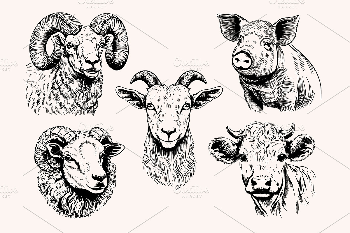 Farm Animals Collection 34 arts, a Graphic by IPVector (Photo 5 of 7)
