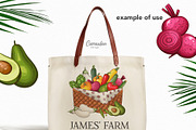 Veggies Clipart, Farmers Market Set, a Food Illustration by Serghei Caraulan (Thumbnail 3 of 4)