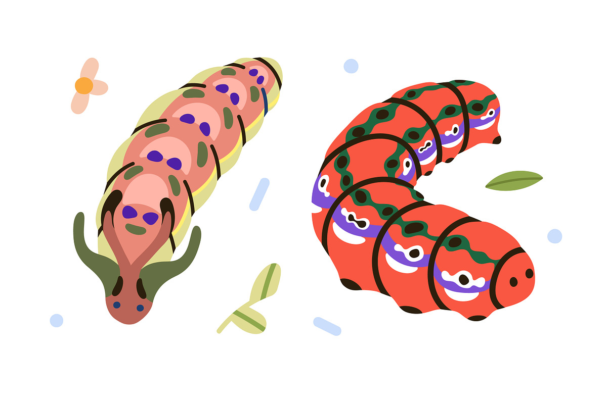 Cute caterpillars, funny larvas set, an Animal Illustration by Good Studio (Photo 3 of 8)