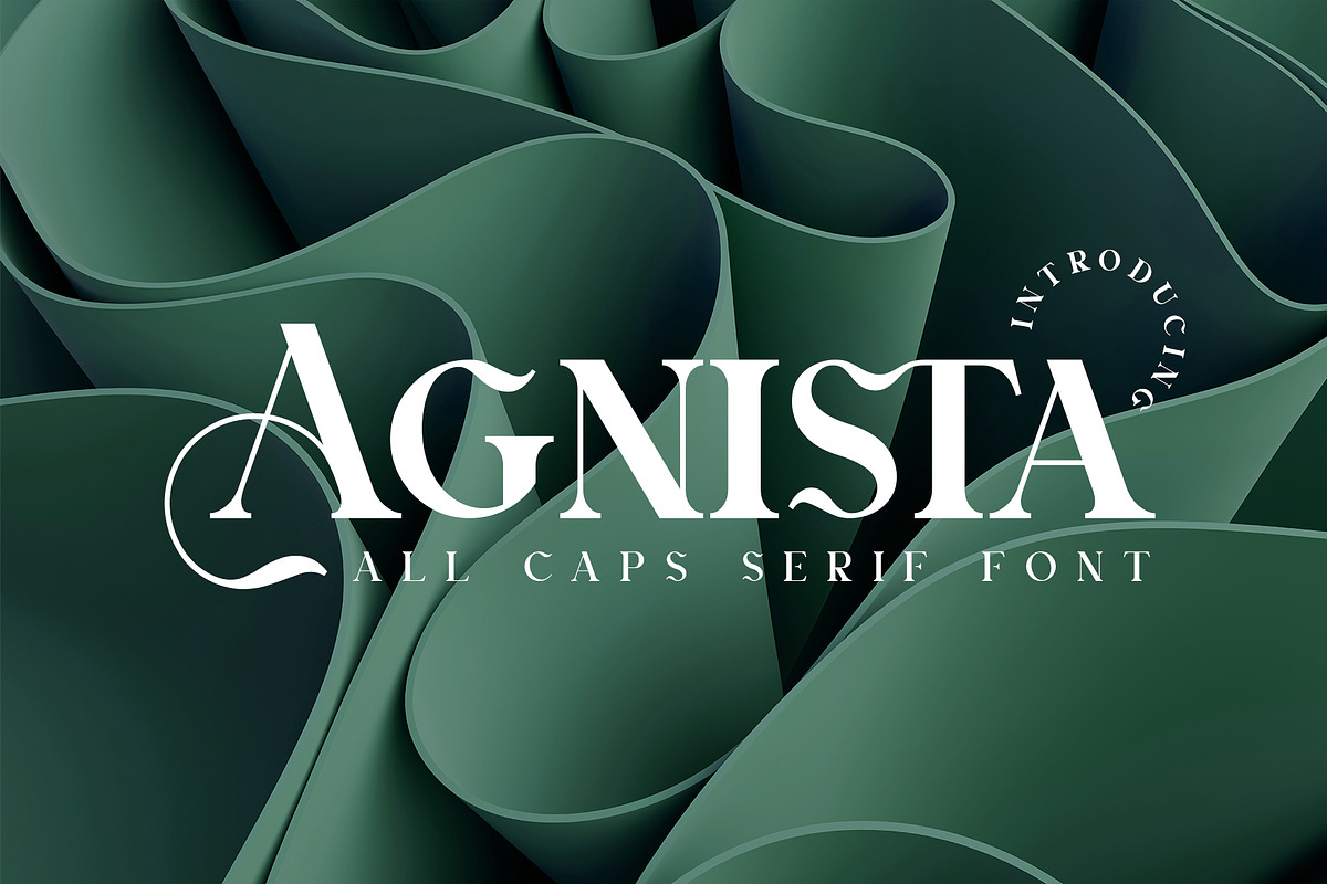 Agnista All Caps Serif Font, a Serif Font by Idea Studio (Photo 1 of 12)