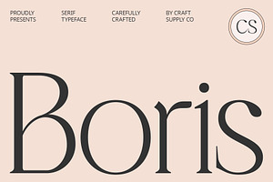 CS Boris – Elegant Font, a Serif Font by Craft Supply Co.