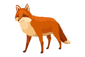 Red fox. Funny character, forest, an Animal Illustration by the8monkey