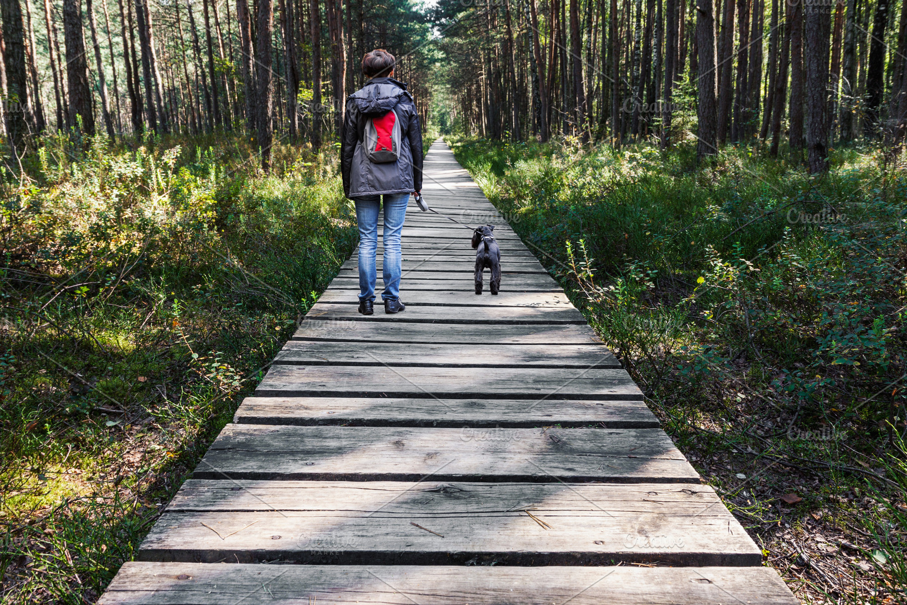 Woman walking dog on wooden pathway, a Person Photo by BOOCYS