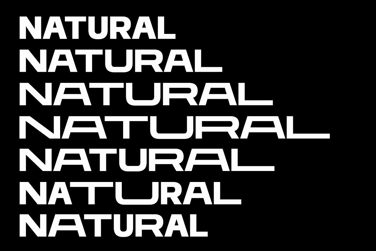 Mera Pro Variable Sans Font, a Sans Serif Font by Multype Studio (Photo 2 of 19)