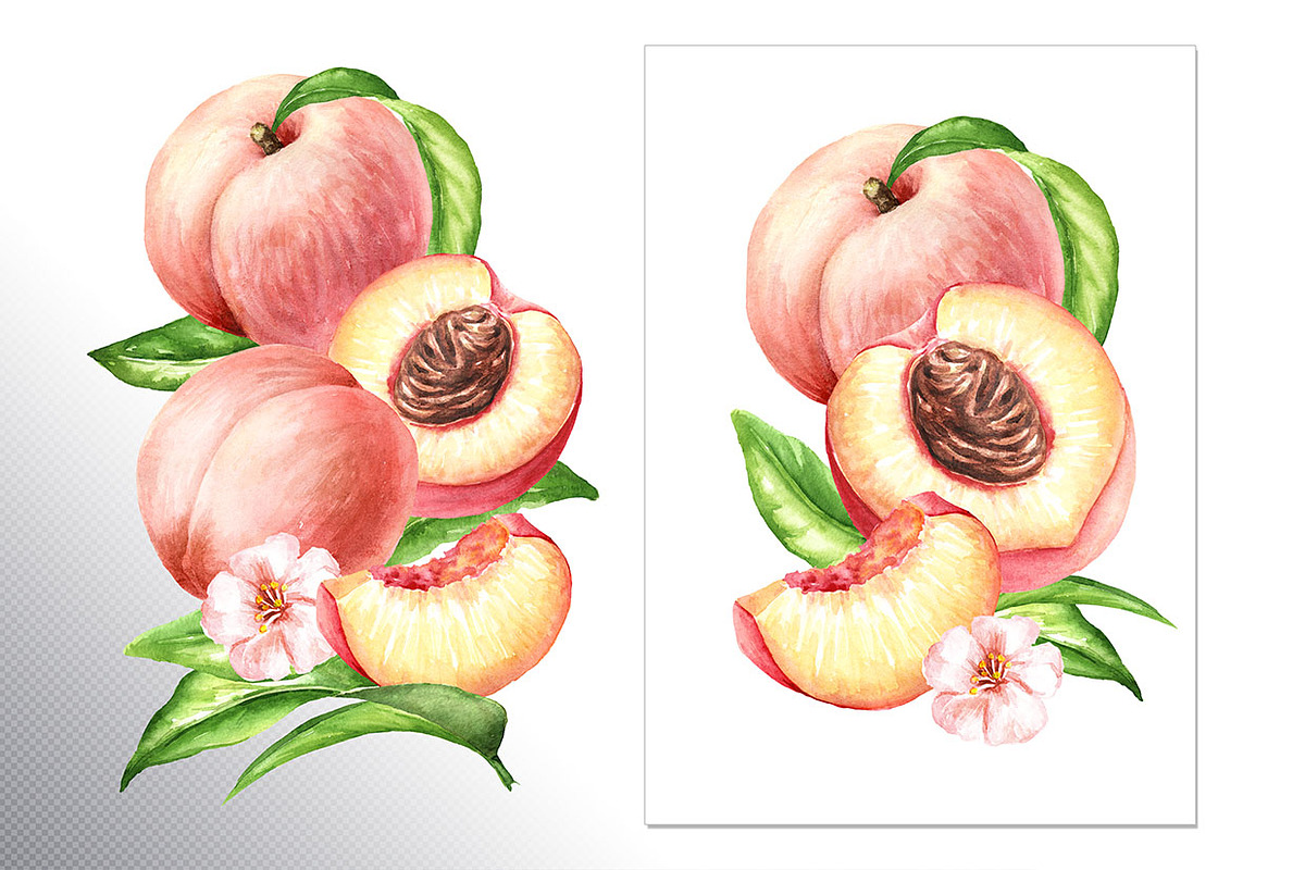 Ripe Peaches. Watercolor set, a Food Illustration by Daria Ustiugova (Photo 6 of 23)