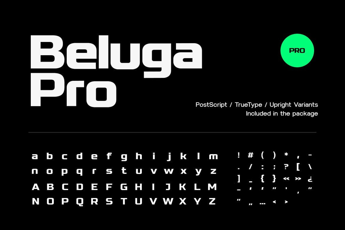 Beluga - Modern Sans-Serif Font fami, a Sans Serif Font by Webhance Studio (Photo 8 of 10)