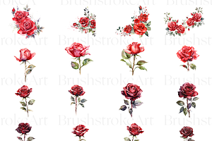 Watercolor Rose Flower, Red Rose PNG