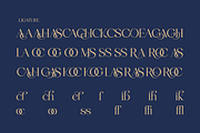 Aulisse - A Modern Elegant Serif, a Serif Font by Qweera Studio (Thumbnail 10 of 12)