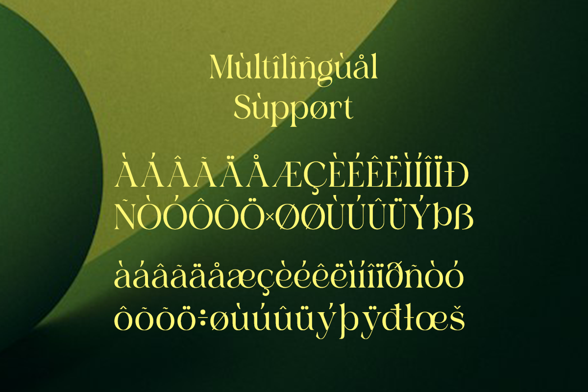 Charon Smith – A Modern Classic, a Serif Font by Qweera Studio (Photo 11 of 12)
