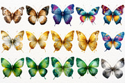 Floral Butterfly Clipart Summer PNG, an Animal Illustration by SugarCloudStudioArt (Thumbnail 4 of 8)
