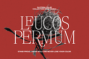 Slotera Calse Family Serif, a Serif Font by Marvadesign (Thumbnail 9 of 12)