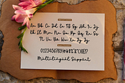 minadine, a Script Font by Essentials Studio (Thumbnail 7 of 9)
