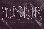 Plumdrunk Slender Display Font, a Handwritten Font by The October Creative (Thumbnail 1 of 8)