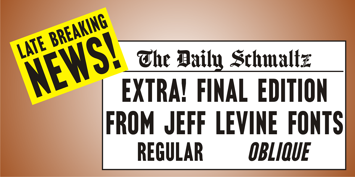 Final Edition JNL, a Sans Serif Font by Jeff Levine Fonts